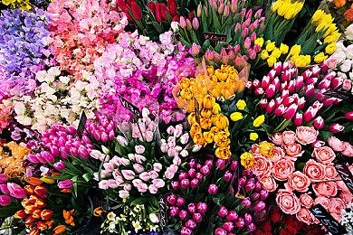 打工姐妹开发游戏《GOODBYE WORLD》本月发售